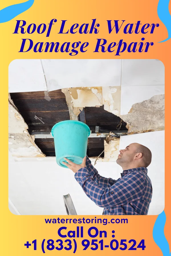 Roof Leak Water Damage Repair in Rocky Point, MT